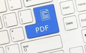 PDF File