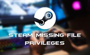 Steam Missing File Privileges