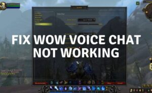 WoW Voice Chat Not Working