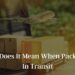 What Does It Mean When Package Is In Transit