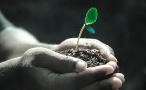 Life Insurance Policy Online
