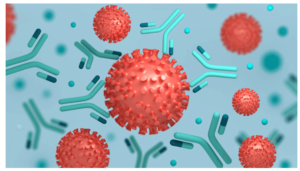 Accelerate Your Antibody