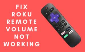 roku remote volume not working