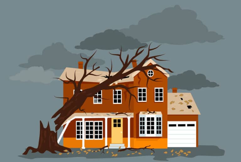 Storm-Damaged Property