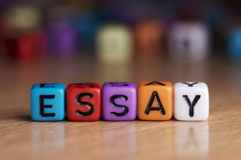 Essay Writing