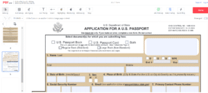 Form DS-11 in PDFLiner editor