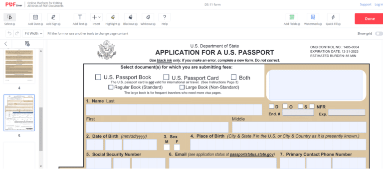 Form DS-11 in PDFLiner editor