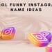 Cool Funny Instagram Name Ideas