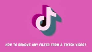 How To Remove Any Filter From A Tiktok Video