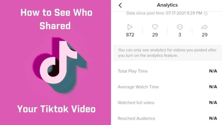 How to See Who Shared Your Tiktok Video