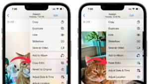 Copy & Paste Edits in Photos App