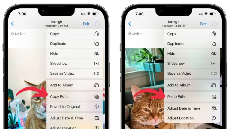 Copy & Paste Edits in Photos App