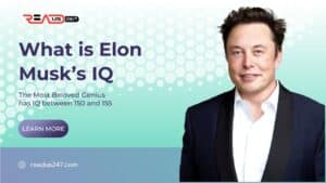 IQ