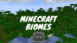 Minecraft Biomes