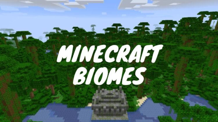 Minecraft Biomes
