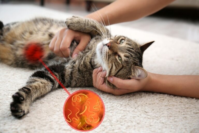 Roundworms