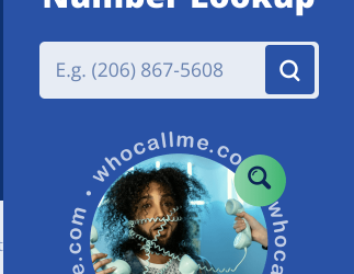 WhoCallMe Review