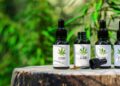 CBD Oil