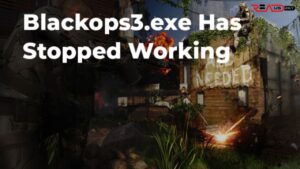 BlackOps 3 EXE Stopped Working