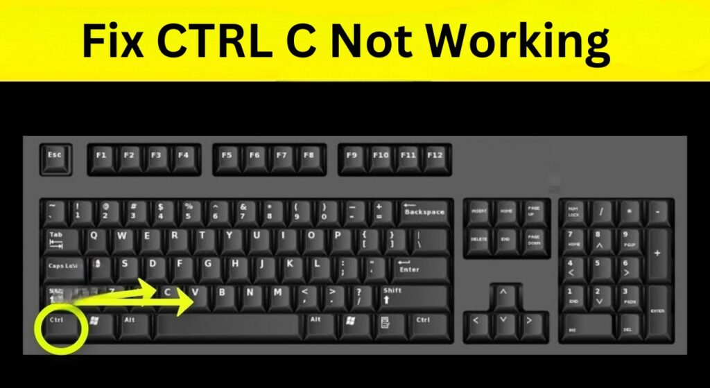 fix CTRL C Not Working