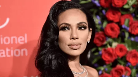 Erica Mena Net Worth