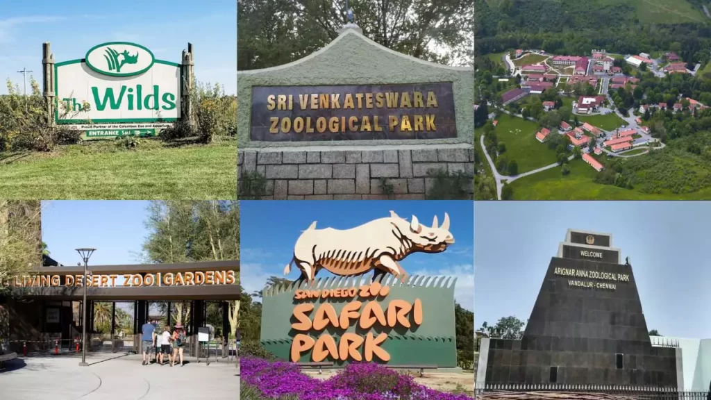 Largest Zoos In The World