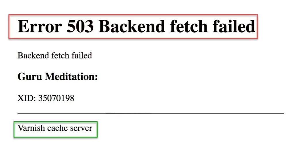 Error 503 Backend Fetch Failed
