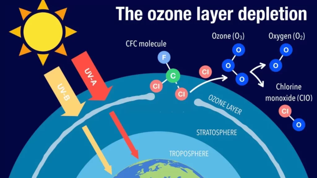 What Caused the Ozone Hole