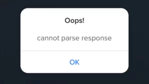 What Does Cannot Parse Response Mean