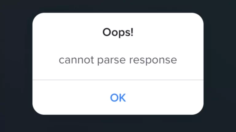 What Does Cannot Parse Response Mean