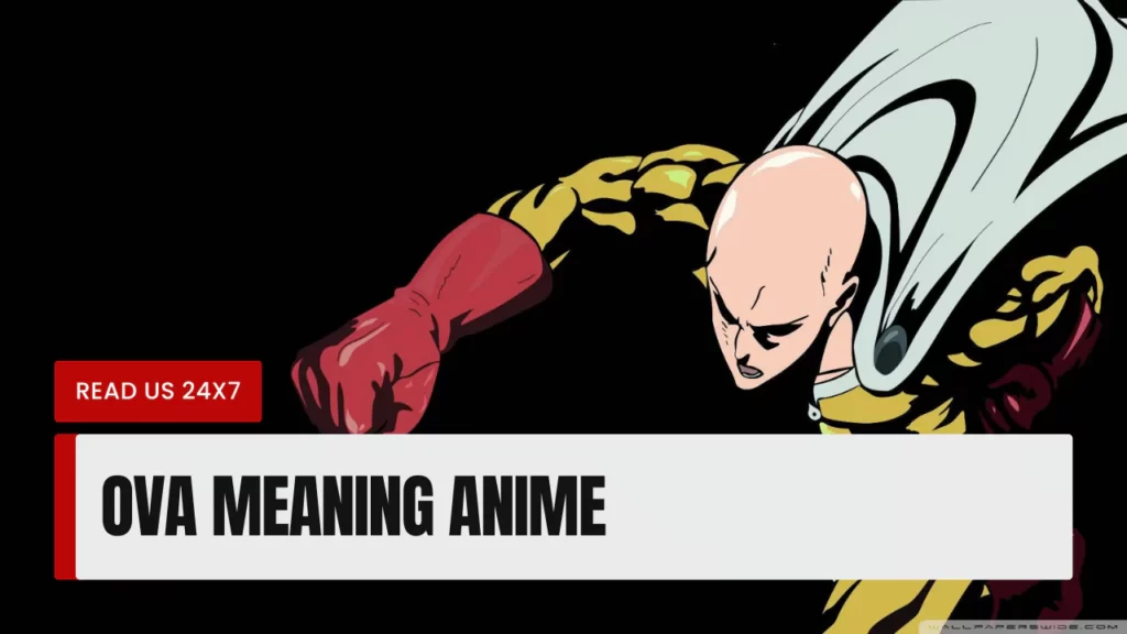 OVA Meaning Anime