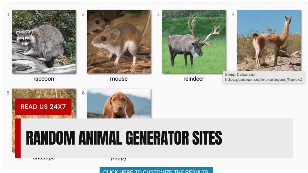 Random Animal Generator Sites