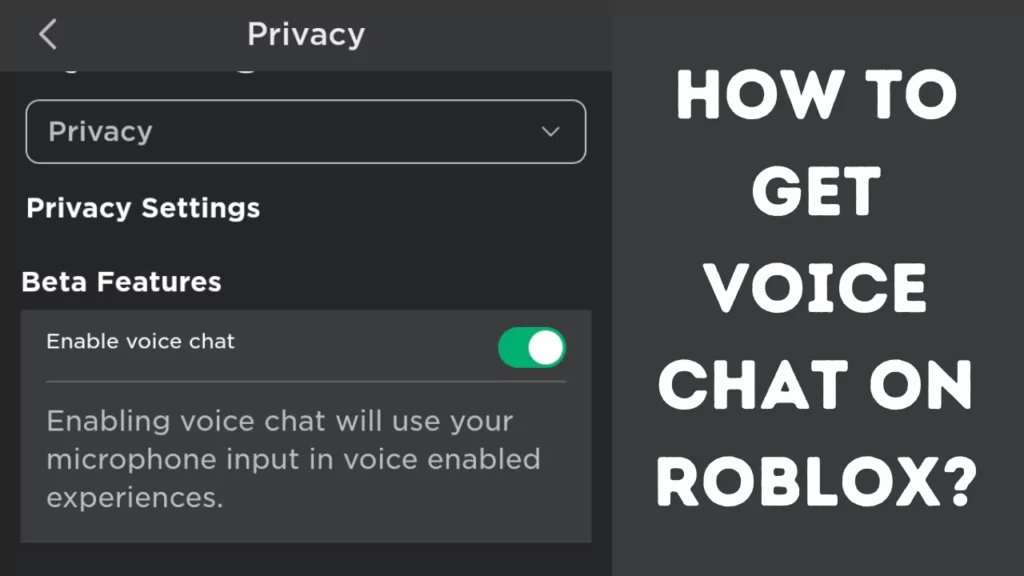 How To Get Voice Chat On Roblox