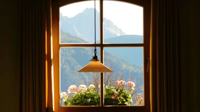 Window Installation Service