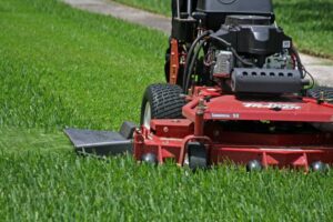 The Mexican Lawnmower