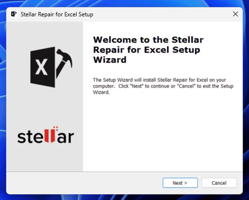 You’ll be directed to the Setup Wizard. To proceed, click Next. 