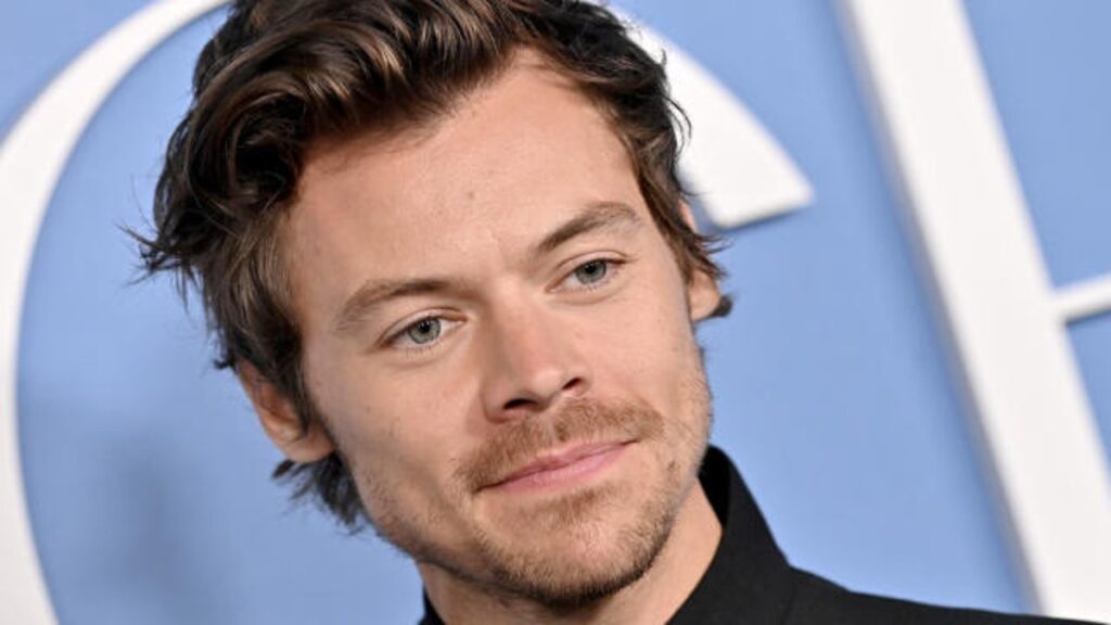 Harry Styles Left 'shaken' After Being Harassed By Stalker