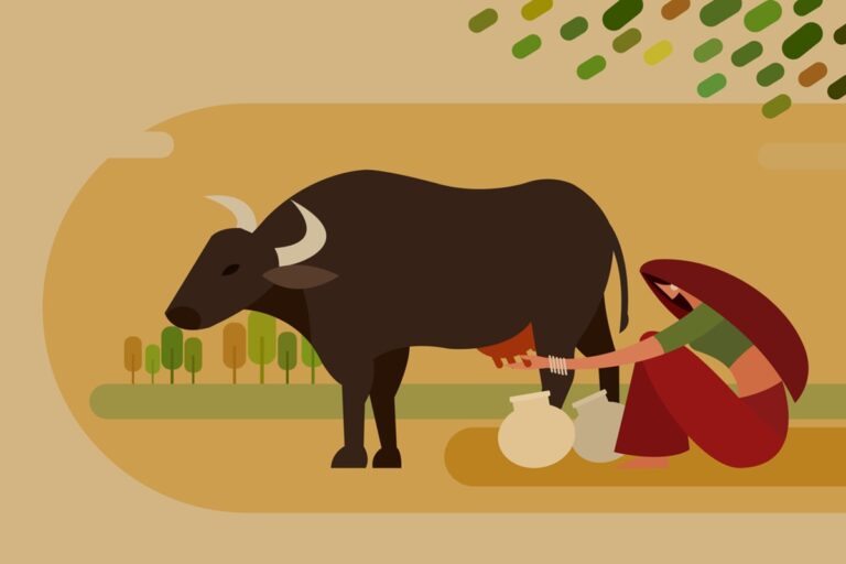 WellHealthOrganic Buffalo Milk Tag