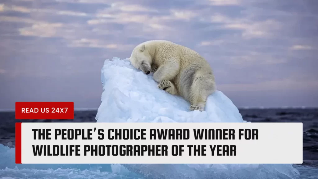 The People’s Choice Award Winner For Wildlife Photographer of The Year