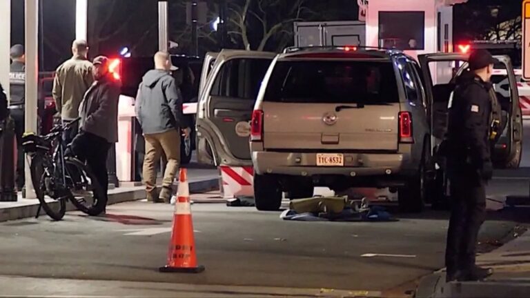 Driver Dies After Crashing Car Into White House Gate