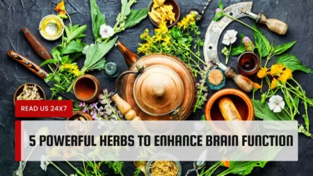 5 Powerful Herbs to Enhance Brain Function