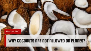 Why Coconuts Are Not Allowed On Planes