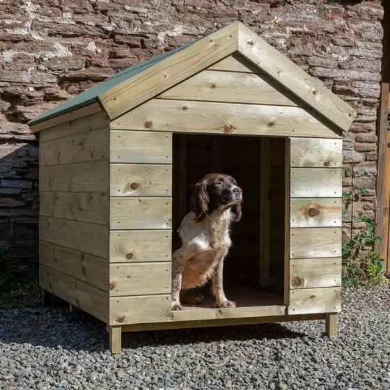 Dog – Kennel